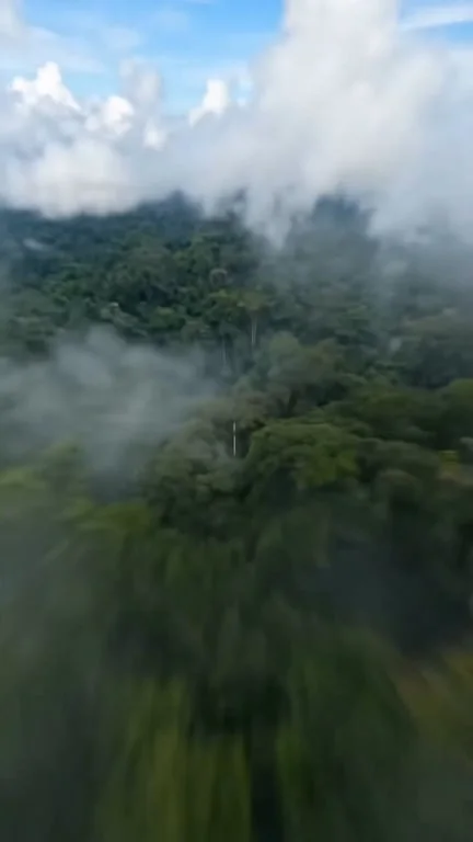 热带绿色丛林地区的卫星视图，摄像机穿过大气层，突破热带云层和雨林树冠，来到一名独行徒步者身后，正穿过一座木制吊桥，桥下是雾气弥漫的峡谷。垂直画面，桥在摇晃。丛林鸟鸣和远处的流水声。720p，电影级画质，无文字覆盖，无水印。